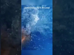 αδιάβροχη αβούρτσιστη μηχανή μηχανών IP65 στροφέων BLDC 24V 36V εξωτερική με τον προωστήρα